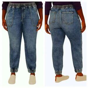 Lane Bryant Pull-On Boyfriend Jogger Jean 26